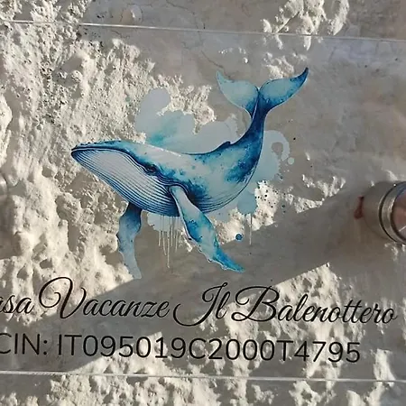 Il Balenottero Holiday home S'archittu Cuglieri